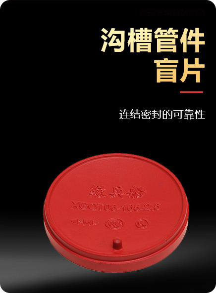 盲片